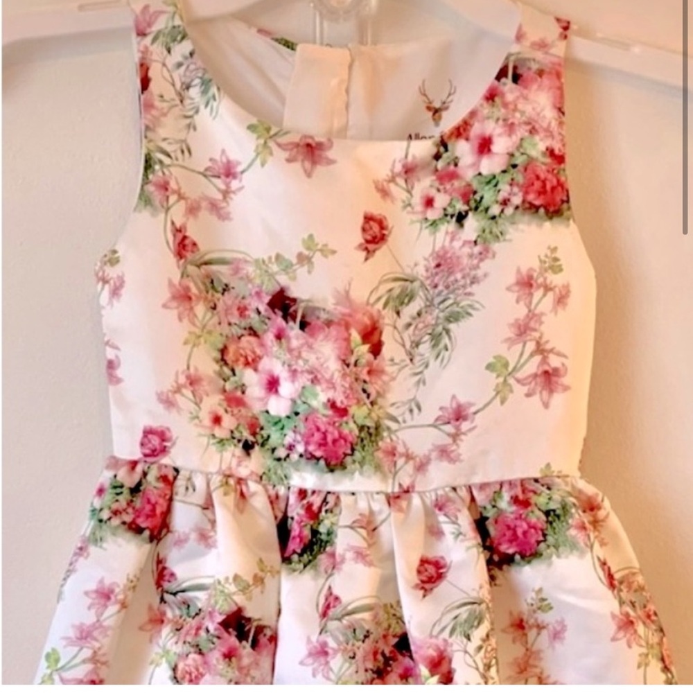 Allen Solly Dress